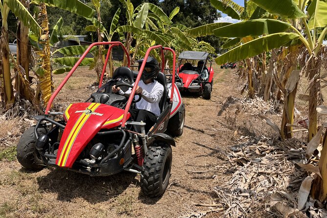 Orlando Dune Buggy Tour - Who This Orlando Dune Buggy Tour Is Best For