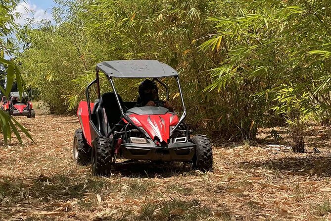 Orlando: Dune Buggy Tour - Price and What $89 Buys You (Really)