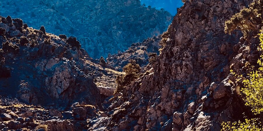 Ourika Valley: Quad Biking,Camel Riding,and Hiking Adventure - FAQ