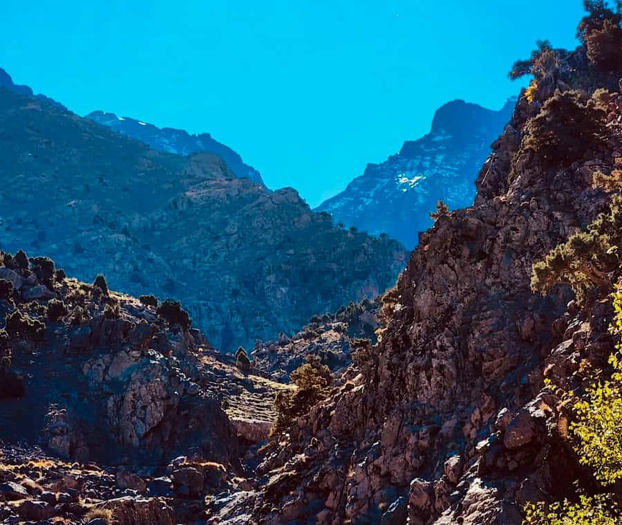 Ourika Valley: Quad Biking,Camel Riding,and Hiking Adventure - Getting Picked Up in Marrakech: Riads vs Big Hotels