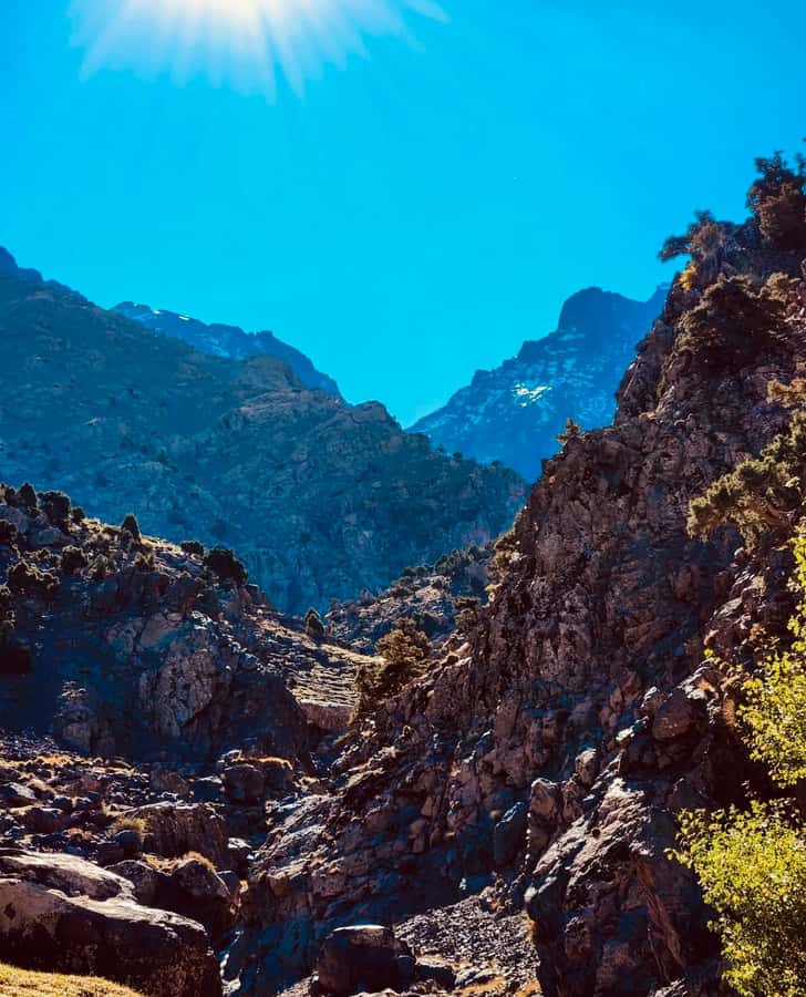 Ourika Valley: Quad Biking,Camel Riding,and Hiking Adventure - Quad Biking and Camel Riding: Dust Time With Safety Briefings