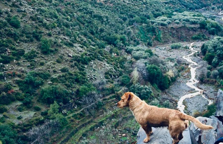 Ourika Valley: Quad Biking,Camel Riding,and Hiking Adventure - Lunch by the River: Budgeting When It’s Not Included