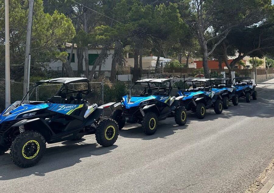Paguera: 2 Hour Buggy Tour - Stop 1: Malgrats Island viewpoint and the first 30 minutes on pause