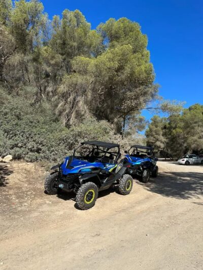 Paguera: 2 Hour Buggy Tour - The buggy itself: automatic CF Moto ZForce and driver requirements