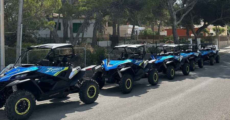 Paguera: 2 Hour Buggy Tour - Calvià coastline driving: where the thrill meets real road conditions