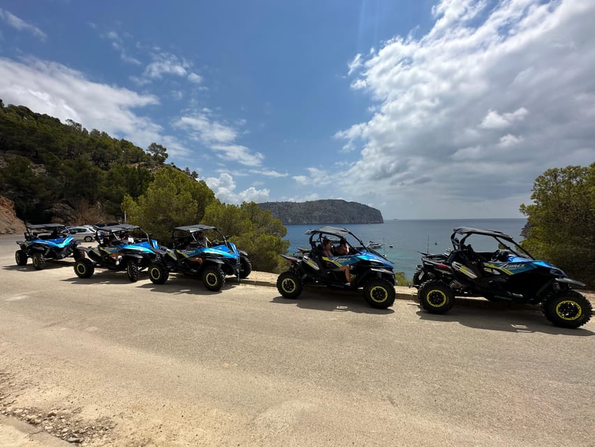 Paguera: 2 Hour Buggy Tour - From coastline to the mountains: Calvià, Es Capdella, Andratx, and Port of Andratx
