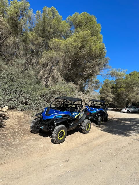 Paguera: 2 Hour Buggy Tour - The buggy itself: automatic CF Moto ZForce and driver requirements