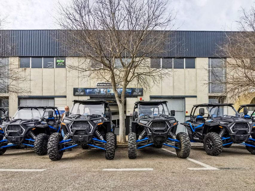 Palma de Mallorca: Off/On Road Buggy Tour with 2 or 4 Seater - Safety, licenses, and the rules that matter
