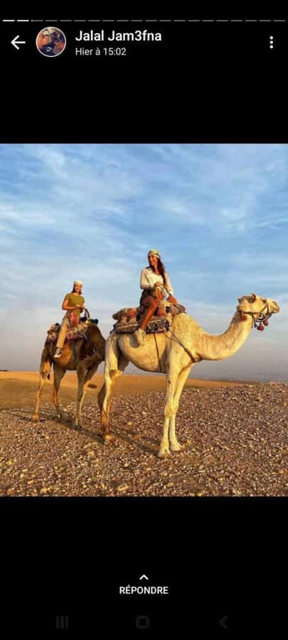 Palmeraie Marrakech Camel Ride & Quad Bike Package Exprience - Marrakech Palmeraie: Why This Quad-and-Camel Mix Works