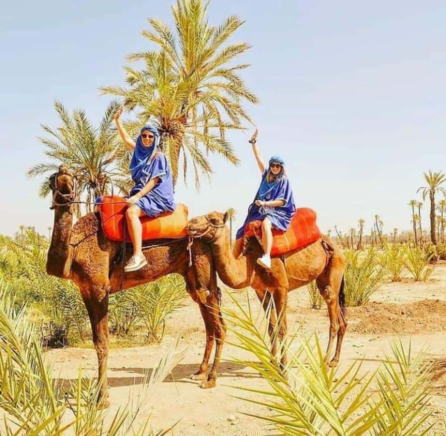 Palmeraie Marrakech Camel Ride & Quad Bike Package Exprience - The Quad Ride in the Palmeraie: Timing, What You’ll Do, What to Expect