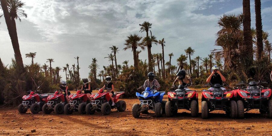 Palmeraie Marrakech Camel Ride & Quad Bike Package Exprience - Price and Value: Is $29 a Good Deal?