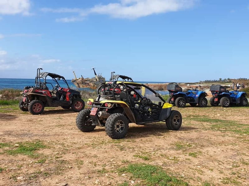 Paphos: Buggy Safari to Akamas Peninsula with Lunch - From Paphos Harbour to Coral Bay: Your quick start to the coast
