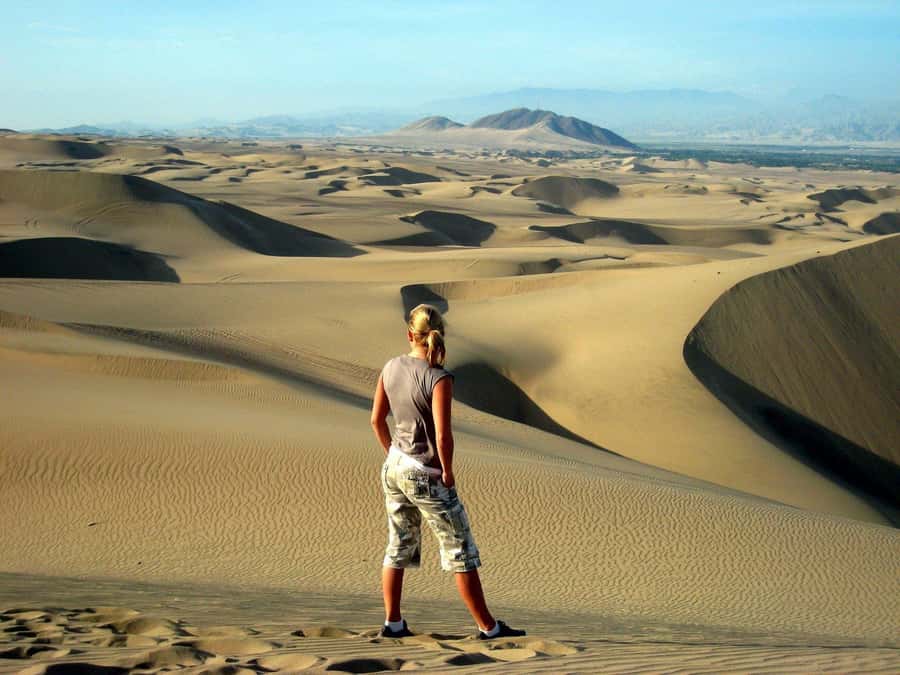 Paracas or Pisco: Private Huacachina Oasis Tour & Buggy Ride - Key Things You’ll Notice on This Tour