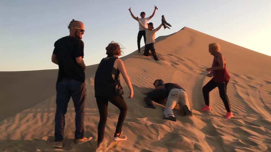 Paracas or Pisco: Private Huacachina Oasis Tour & Buggy Ride - The Winery Stop: Wines, Pisco, and What You’re Actually Learning