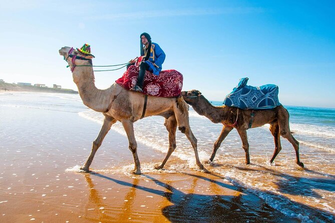 Paradise Valley & Desert Dunes with Camel Ride and quad bike - From Agadir to Paradise Valley: where the day starts