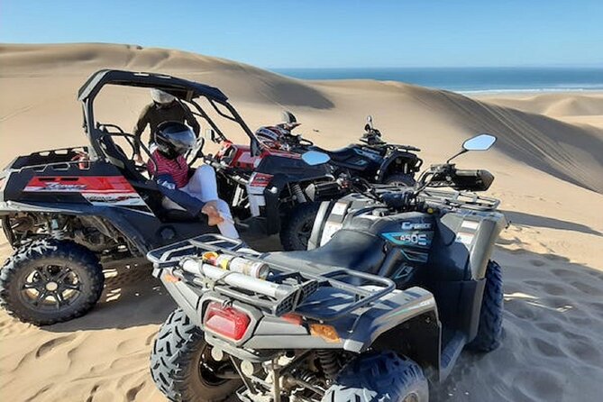 Paradise Valley & Desert Dunes with Camel Ride and quad bike - Camel ride after the quads: a slower pace over the same sand