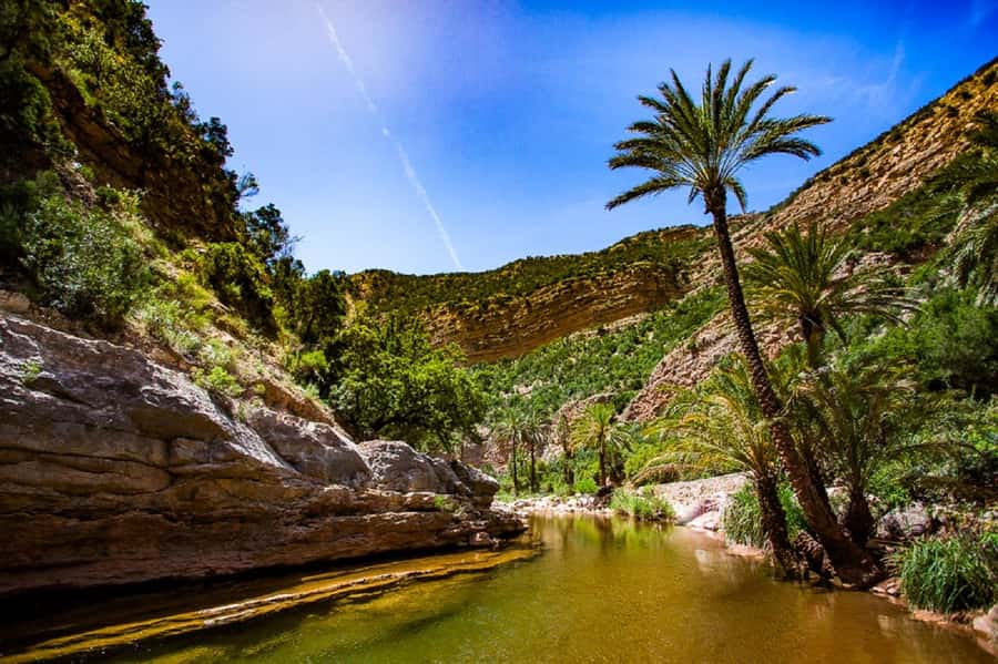 Paradise Valley & Desert Dunes with Camel Ride and quad bike - Price and value: is $147 per person fair?