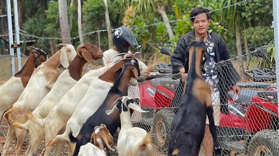 Phuket: ATV Ride with Secret Sea Viewpoints and Swing - Bamboo Coffee, Fruit Snacks, and Goat Milk: The Stops That Make It Feel Local