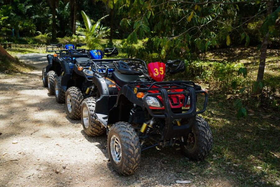 Phuket: ATV Tour with Sea Views and Big Buddha Temple - Riding terrain, wildlife chances, and the monkey factor
