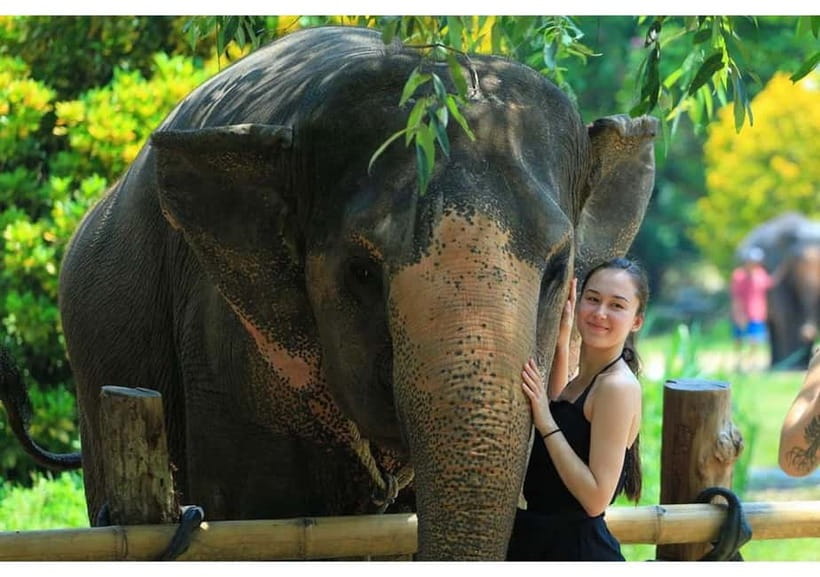Phuket: Bamboo Rafting & ATV Ride (Optional) - Lunch and snacks: simple Thai comfort, with enough fuel