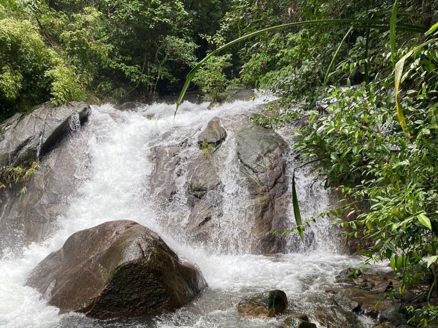 Phuket: Bamboo Rafting, Monkey Cave, and ATV Option - Elephant stop ethics: confirm what your day includes