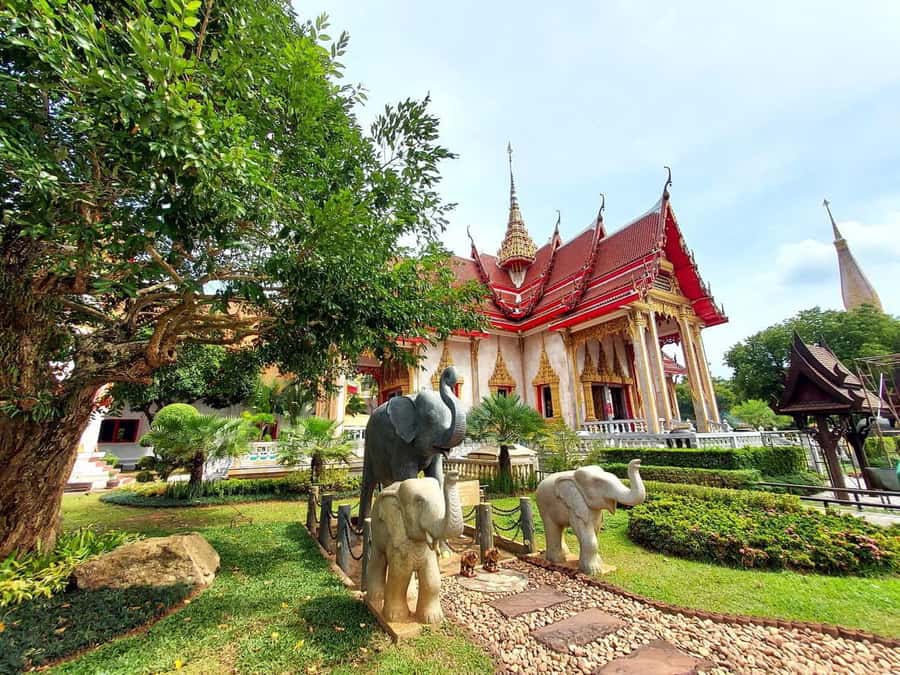Phuket City Tour with ATV Adventure and Elephant Feeding - Quick hits on this Phuket day
