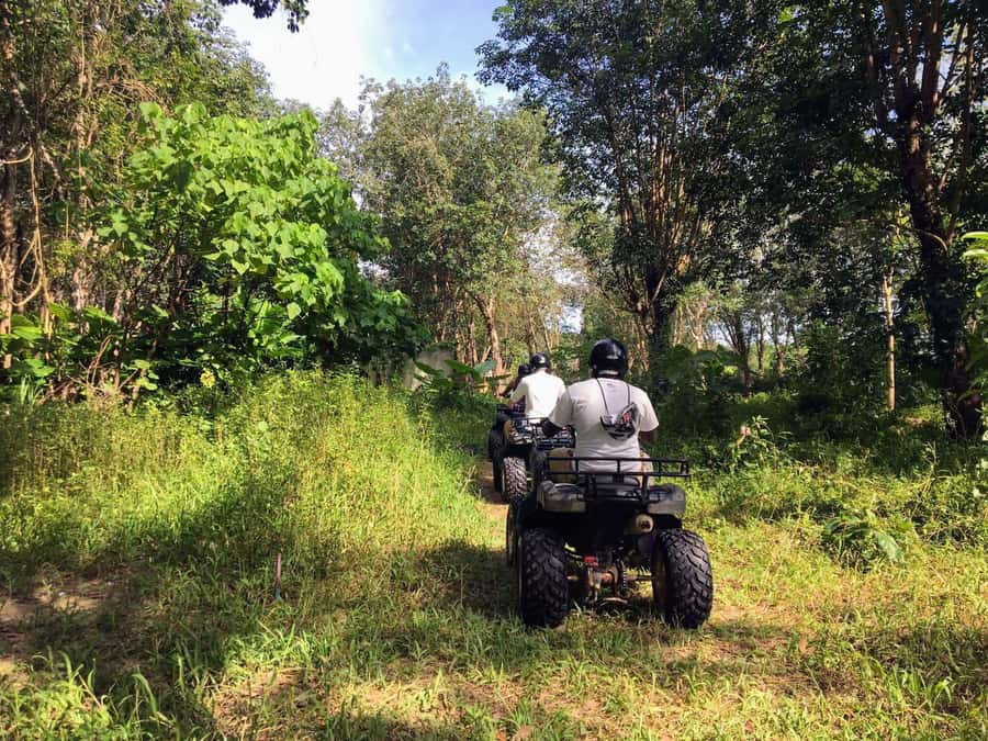 Phuket City Tour with ATV Adventure and Elephant Feeding - Who should book this day, and who should pass