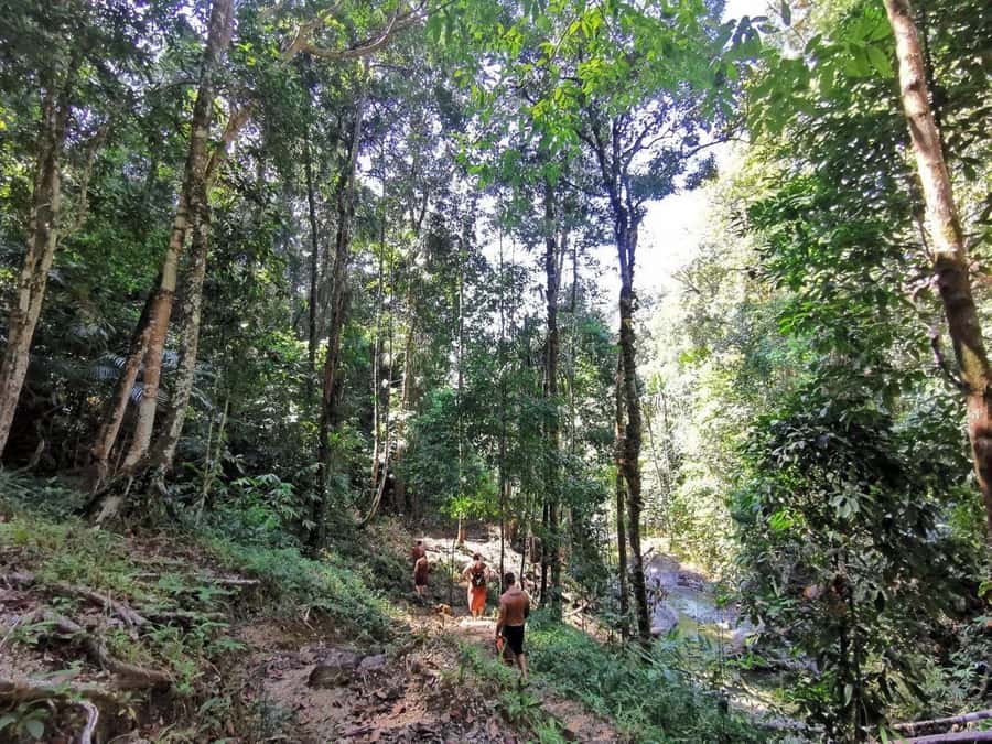 Phuket: Monkey Cave, Water Rafting, Zipline with ATV Option - What to bring (so you enjoy the rafting and not just endure it)