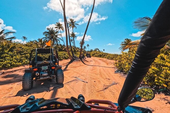 Piñones Beach Buggy + El Yunque Waterfall Adventure - Piñones Beach Buggy in Loíza: why the ride feels like the day’s main event