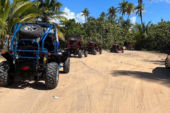 Piñones Beach Buggy + El Yunque Waterfall Adventure - Practical tips that will make you enjoy the slippery parts