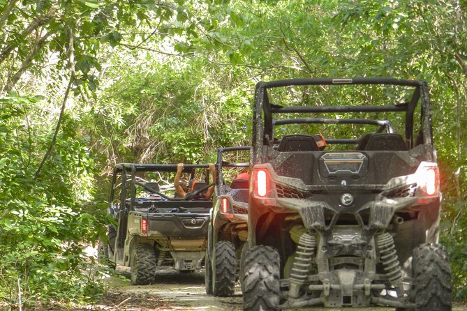Playa del Carmen Buggy Tour with Cenote Swim and Mayan Village Visit - Buggy rules, seating, and how it affects your group