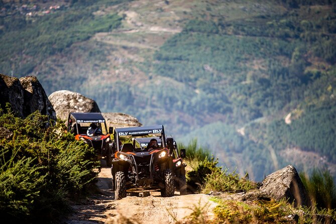 Ponte de Lima Guided Buggy Tour - Key highlights at a glance