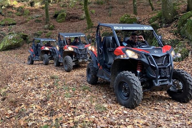 Ponte de Lima Guided Buggy Tour - The real appeal: why driving your own buggy feels right here
