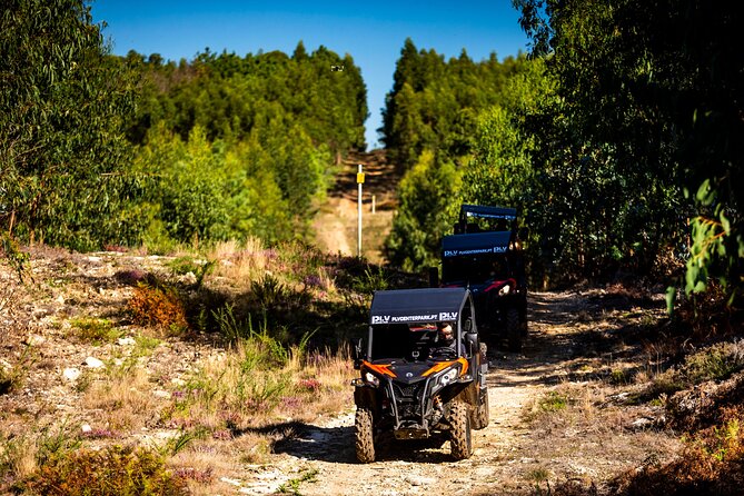 Ponte de Lima Guided Buggy Tour - What to wear, pack, and plan so you don’t regret the dust