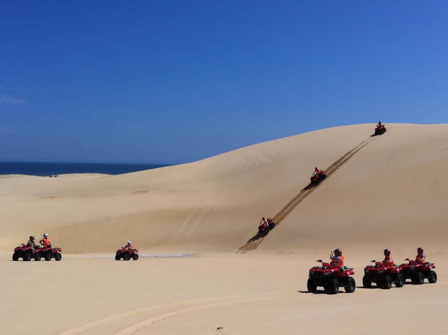 Port Stephens: Worimi Sand Dune Quad Bike Adventure - How the 1-Hour Ride Moves: From Grasslands to Big Shifting Dunes