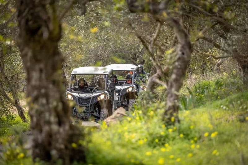 Porto: Dirt and Dust Tour by Oporto Buggy - Why this Porto off-road buggy feels like a rally stage