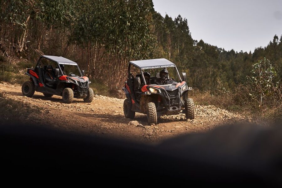 Porto: Dirt and Dust Tour by Oporto Buggy - Pickup around Porto and Gaia: convenient options, not hotel chaos