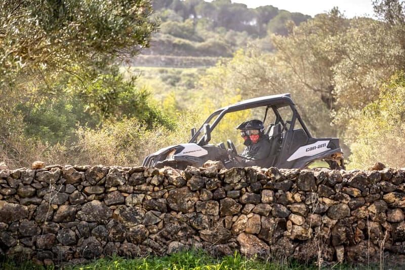 Porto: Dirt and Dust Tour by Oporto Buggy - Who should book this extreme buggy tour (and who should skip it)