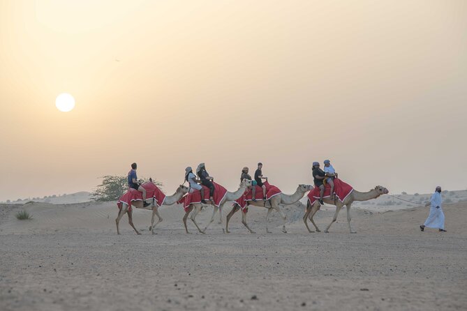 Premium Red Dunes Bashing with Quad Bike, Camel, Falcon &VIP Camp - Turning a 2:00 pm pickup into a full desert day