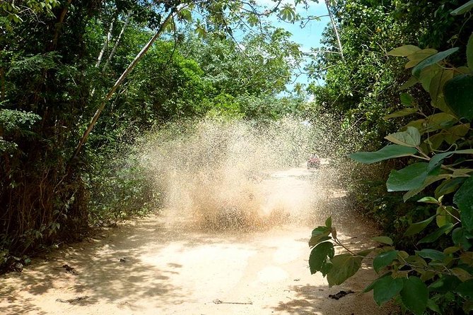 Private ATV Jungle Explorer Tour - Who This ATV Jungle Tour Fits Best