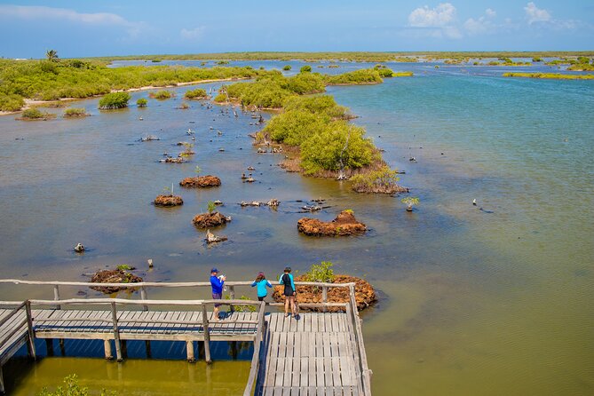 Private Buggy Tour and Punta Sur Park: All-Inclusive - Playa Pública San Martín: Why the East Side Matters