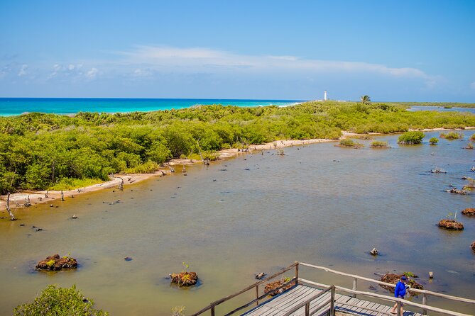 Private Buggy Tour and Punta Sur Park: All-Inclusive - Coco’s Beach Club: Lunch, Included Water Gear, and Getting Your Feet in the Sand