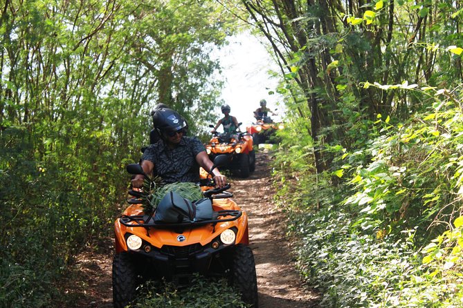 Private Island Tour by ATV / QUAD - Timing, Pickup, and the Weather Reality You Should Plan For