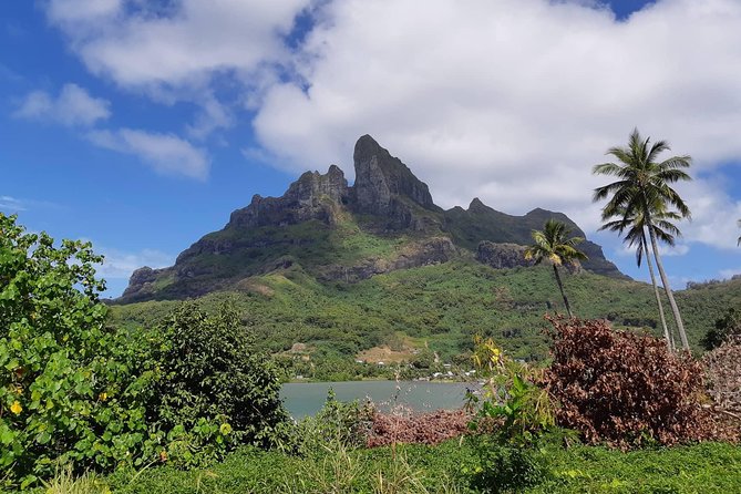 Private Island Tour by ATV / QUAD - Four Viewpoints and Three Off-Road Trails: The Best Kind of Movement