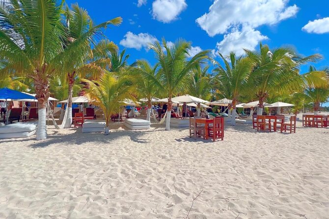 Private Jeep or Buggy Tour Snorkeling Maya Park and Tacos - San Martín Beach on the far side: tacos and lunch by the sea