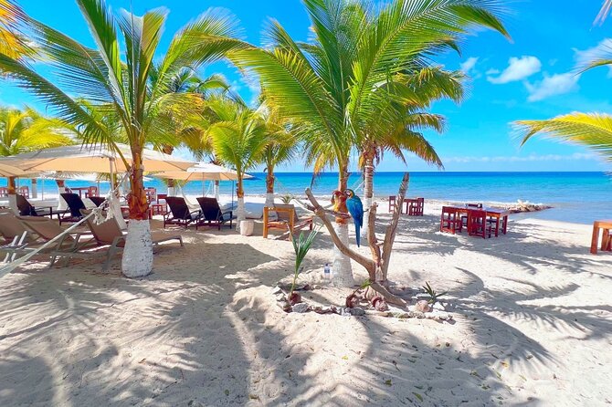 Private Jeep or Buggy Tour Snorkeling Maya Park and Tacos - Private transportation, automatic A/C, and how the buggy works