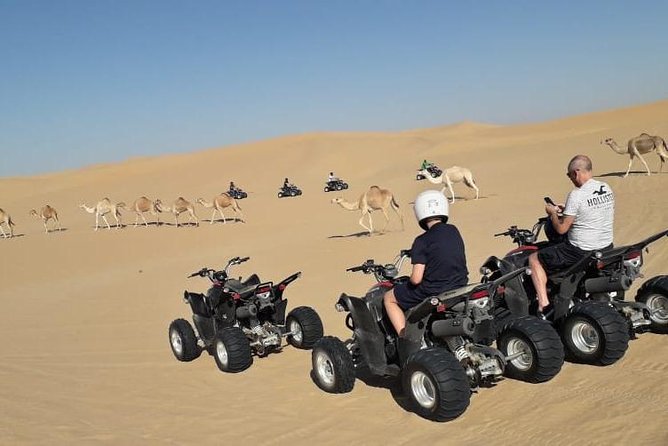Private Quad Bike Tour through Deep Desert in Dubai - The deep desert near Al Faqa: what you’re really buying