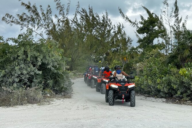 Providenciales ATV/UTV Beach Bounce Tour - Leeward Beach (Sunset/Pelican Beach): the bird stop on the best kind of timetable