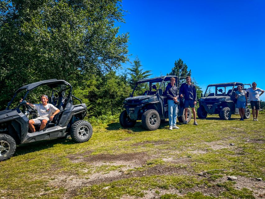 Prozelo: Buggy Tour - Key highlights to look forward to