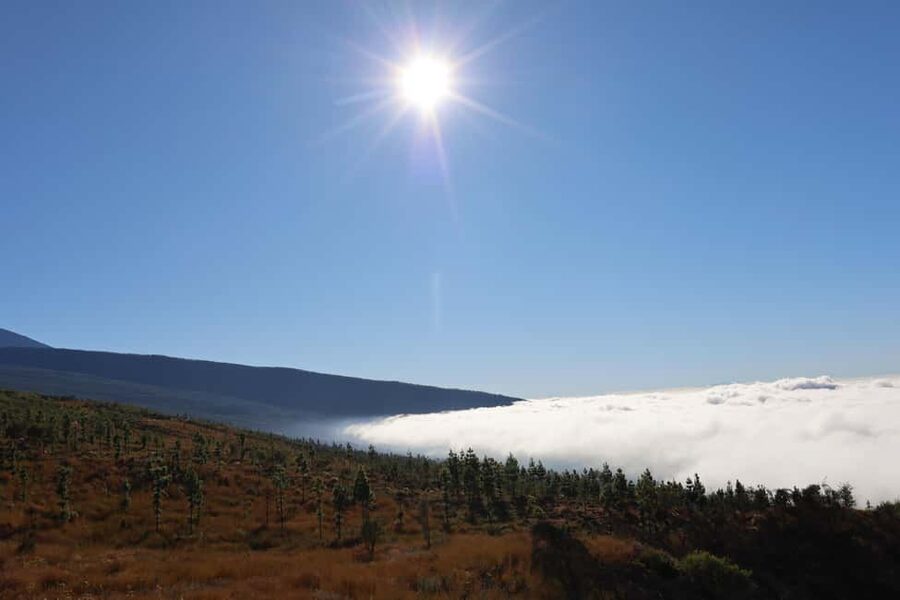 Puerto de la Cruz: Quad Teide National Park - Minas de San Jose: get the volcanic context before the big views